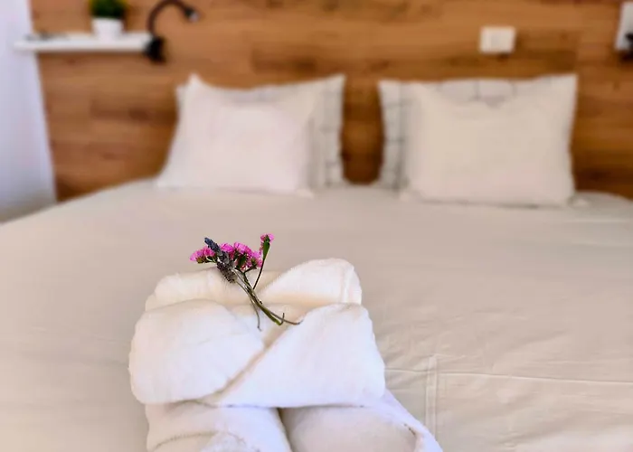 Oceansoul Tenerife *